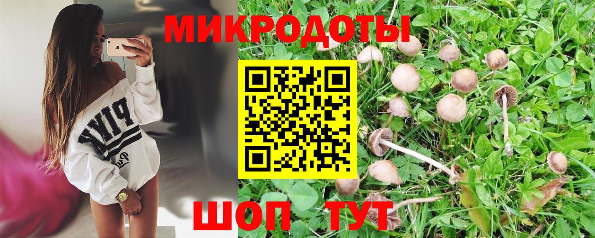 Псилоцибиновые грибы Cubensis  Галлюциногенные грибы GOLDEN TEACHER  Когалым  Вход с VPN 