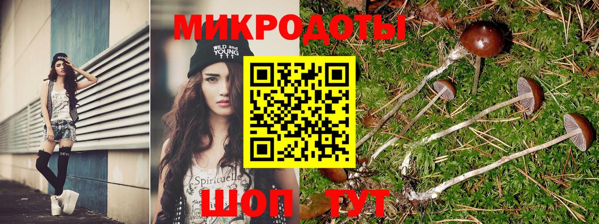 Галлюциногенные грибы Psilocybine cubensis Когалым